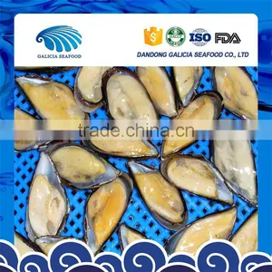 Half Shell Frozen Blue Mussel Meat With Various Sizes thumbnail-1