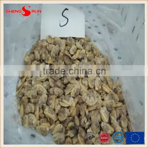 IQF Cooked Baby Clam Meat Frozen thumbnail-6