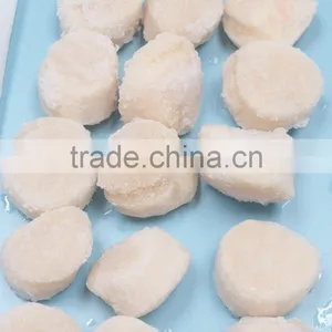 Scallop thumbnail-3