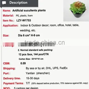 Tropical Mini Succulent Plants Bonsai for Sale Artificial Succulents thumbnail-2
