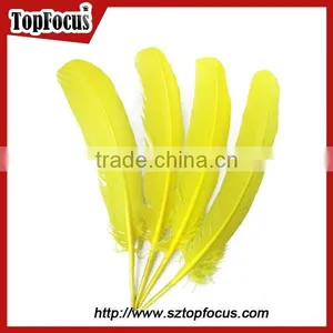 Factory Prices Wholesale Prime Quality Dyed Turkey Wing Feather thumbnail-1