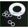PTFE Washer thumbnail-1
