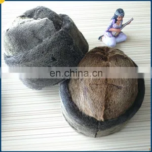 Sealskin Round Cap Fur Hat in Winter for Men in Karachi for American Style thumbnail-2