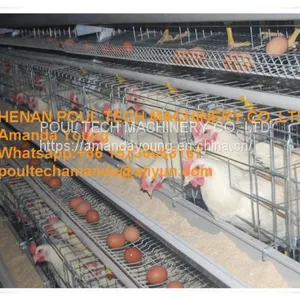 Rwanda Poultry Farm A Type Battery Female Male Chicken Cage & Layer Breeding Cage Used in Chicken House thumbnail-2