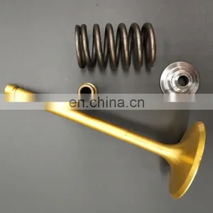Natural Gas Biogas Mine Intake Exhaust Engine Valves For MWM TCG 2020 3016 2016 2032 K1 V12 V12 1.0 V16 V20 Insert Seat Guide thumbnail-7