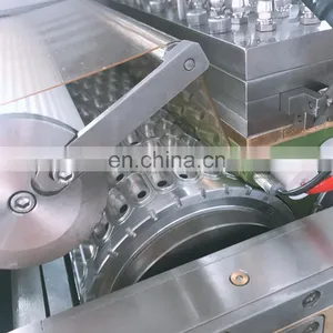 Automatic Soft Gel Capsules Encapsulation Machine With Full Series Moulds thumbnail-4