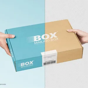 Custom Soy Ink Printed Design Corrugated Cardboard Packaging Mailer Box Folding Post Airplane Shipping Mailing Box thumbnail-5