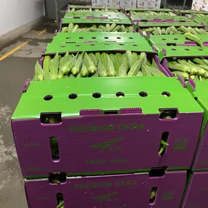 PP Corrugated Plastic BOX Corflute Correx Okra Box for Agriculture Vegetable Box thumbnail-3