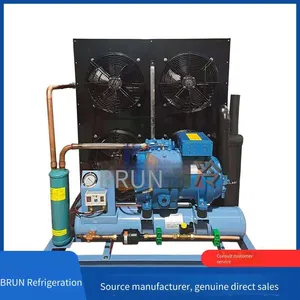 Cool Storage for Pharmaceuticals, Borun Refrigeration Piston Unit, 30 hp 6wd - 30.2 Freezer Equipment, 10 hp Cold Storage Unit, Freezer Equipment, Freezer Equipment thumbnail-2