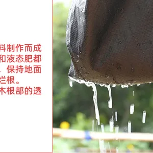 Original Manufacturer of Orchard Weed Control Fabric and Agricultural Weed Barrier Fabric Exporter for Foreign Trade thumbnail-3