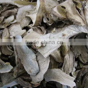 Wild Dried White Porcini Mushroom thumbnail-1