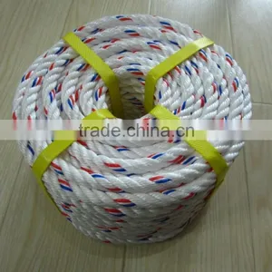 PP DANLINE ROPE thumbnail-1