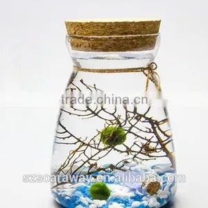 Terrarium Glass Vase Container Pots for Home Wedding Decor thumbnail-3