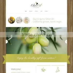 Business Web Development thumbnail-5