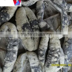 Dried Sea Cucumber/ Dried Trepang thumbnail-1