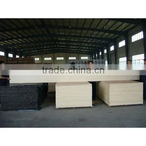 Heterotypic Large Plywood thumbnail-1