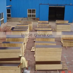 Black Film Faced Plywood 1220*2440*16mm thumbnail-3