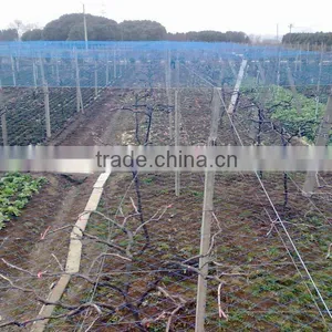 Plastic BOP Netting as Fruit Cage/Anti Bird Net/Plant Protection Net thumbnail-2