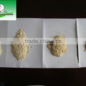 Garlic Powder thumbnail-1