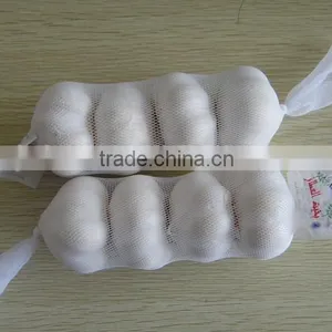 Fresh Garlic thumbnail-3