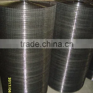 China Factory Welded Wire Mesh /Netting thumbnail-5