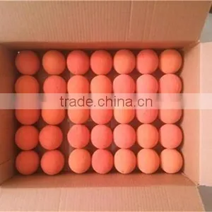 High Quality Putzmeister Pump 6 Inch Clean Out Ball thumbnail-6
