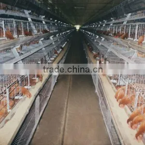 Breeder Raising Equipment thumbnail-1