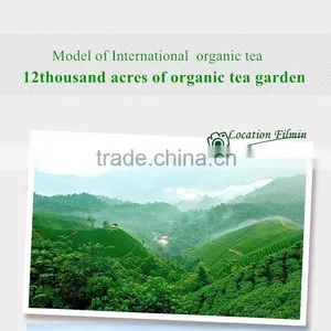 Cheap Chinese Black Tea Certified EU/US/JAPAN/CHINA Standard for Netherlands thumbnail-5