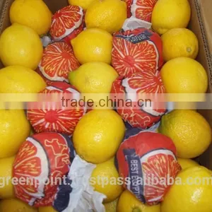 Lemon thumbnail-3