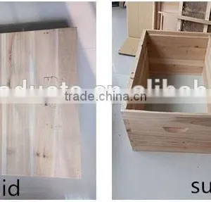 Apis Cerana Beehive thumbnail-6