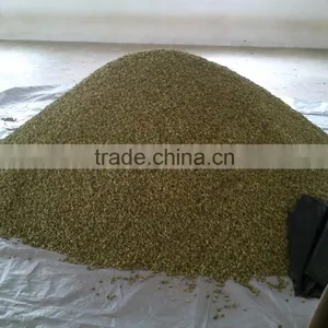 Cardamom thumbnail-2