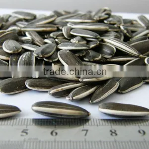 Chinese Bulk Sunflower Seed Organic Polly Seed thumbnail-1