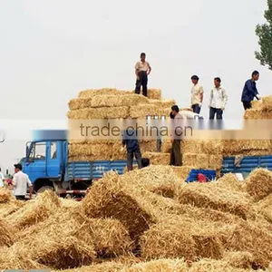 Best Quality Easy Operation Rectangular Hay Baler thumbnail-1