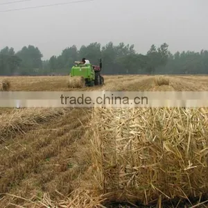 Small Round Baler Machine For Field Hay Tidy Storage thumbnail-1