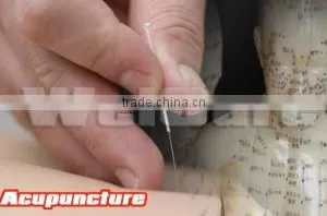 Qingdao Great Fortune Co., Ltd. company overview - view 2 thumbnail