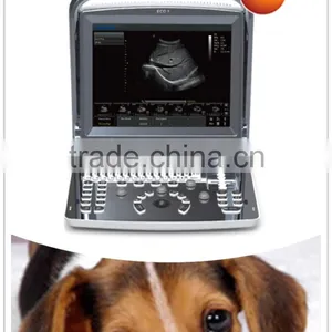 High End Veterinary Ultrasound Scanner ECO1 VET for Canine Bovine Ovine Equine Feline thumbnail-1