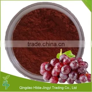 High Quality Natural Grape Seed Extract thumbnail-1