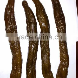 Pickled Cucumber thumbnail-1