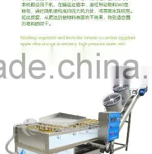 Industrial High Efficient Fruit Washing and Drying Machine for Food and Beverage Industry. thumbnail-1