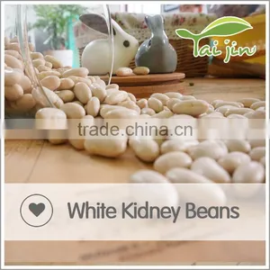 Foul Medames White Kidney Beans For Canning thumbnail-1