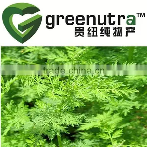Artemisia Annua Extract thumbnail-1