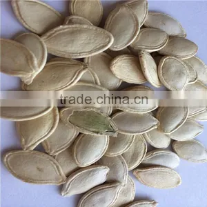 Raw Organic Pumpkin Seeds Shine Skin From China thumbnail-3