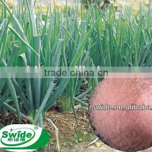 Customized Good Prices Dried Seaweed Fertilizer thumbnail-5