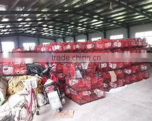 Qingdao Datao Fishing Tackle Co., Ltd. company overview - view 2 thumbnail