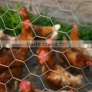 Anping Longyi Factory Twist Chicken Wire Mesh/double Twisted Hexagonal Gabion Mesh(ISO Factory & Exporter) thumbnail-1