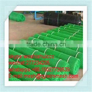 High Quality Plastic Flat Wire Mesh or Plastic Flat Netting for Breeding thumbnail-5