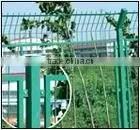 Wire Mesh Fence thumbnail-1