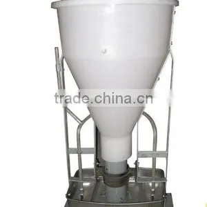 Dry Feeder /pig Feeder thumbnail-3