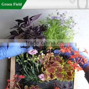 Root Wrapper Make Vertical Gardening Easy thumbnail-1