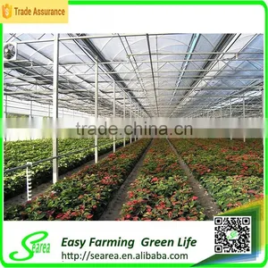 Agricultural Rodent Roof Green House for Flower thumbnail-5